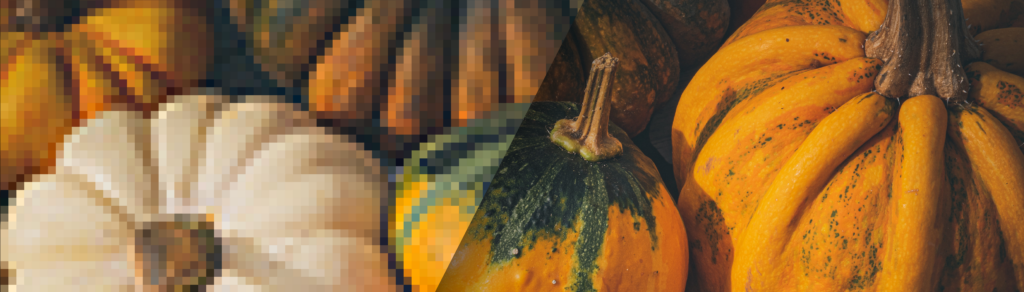 Low resolution vs. high resolution pumpkins and gourds